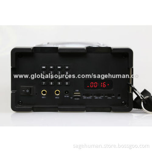 Subwoofer Bluetooth Speaker with LED Light, Karaoke Function